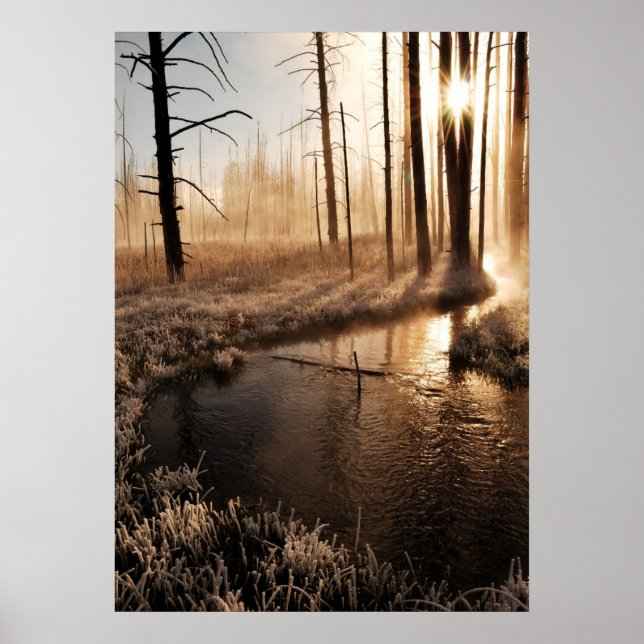 Affiches Frosty Yellowstone Morning (Devant)