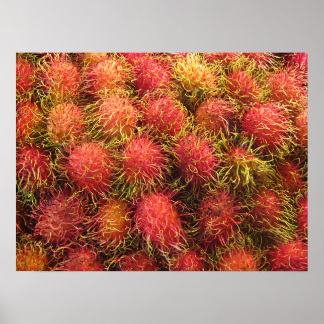 Affiches Fruit tropical rambutan (Devant)