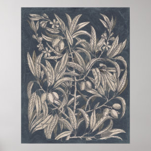 Affiches Fruit vintage et I floral