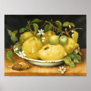 AFFICHES FRUITS DE SAISON CITRONS ET FLEURS BLANCHES