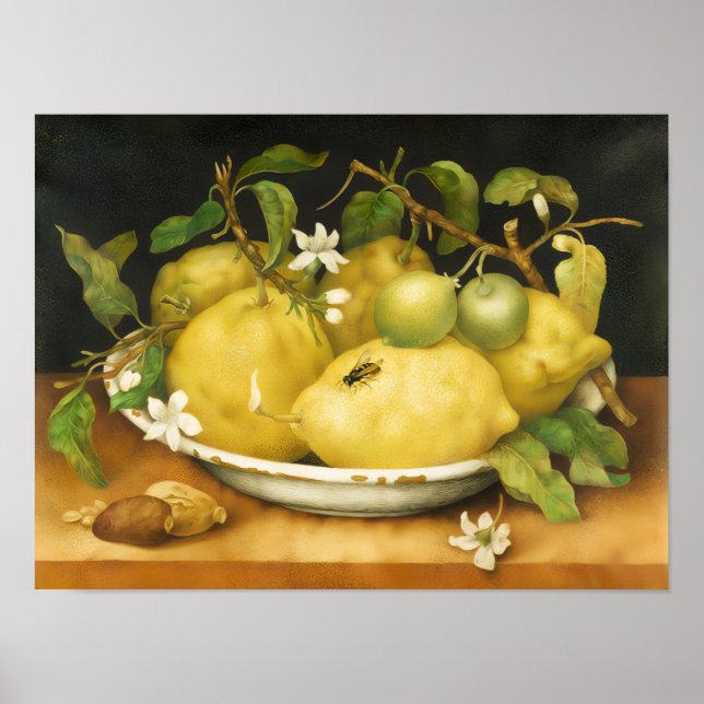 AFFICHES FRUITS DE SAISON CITRONS ET FLEURS BLANCHES (Devant)