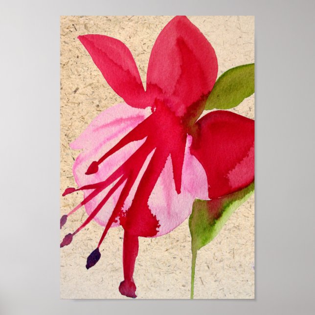 Affiches Fuchsia pop art watercolour flower (Devant)