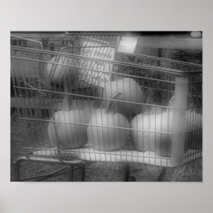 Affiches Fun Fall Pumpkins Black White Photo Print