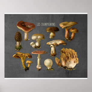 Affiches Fungi Art, Botanique Imprimé, Décor Cuisine