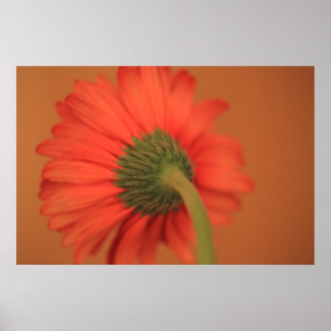 Affiches Fusion (Devant)