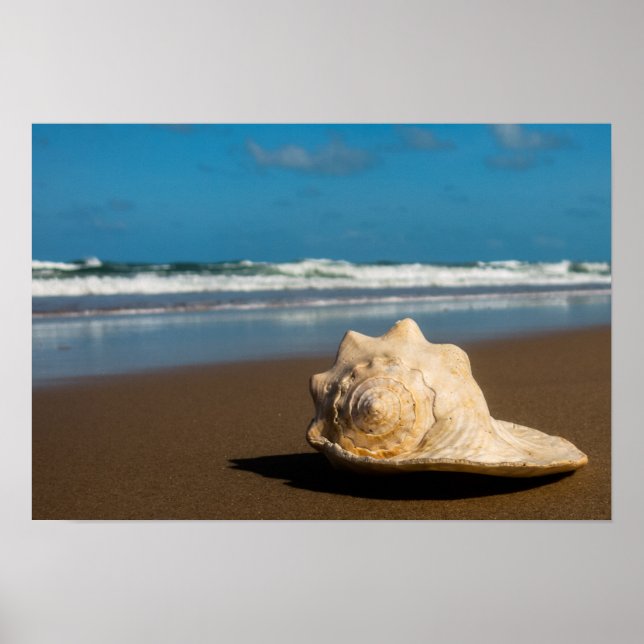 Affiches Future Beach (Devant)