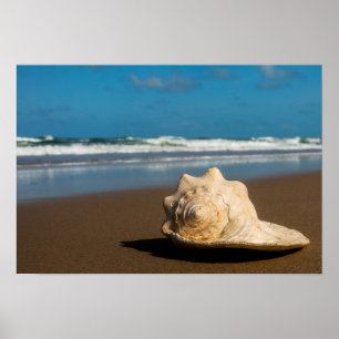 Affiches Future plage