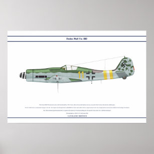 Affiches Fw-190 D-9 JG2 1
