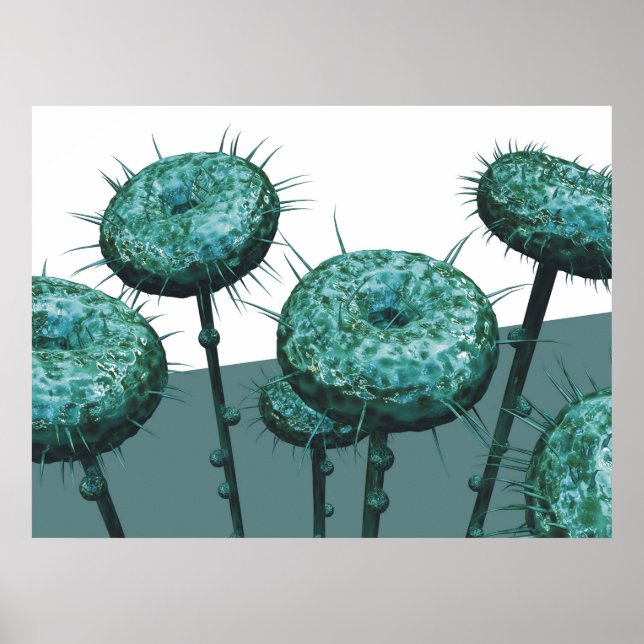 AFFICHES G06 (Devant)