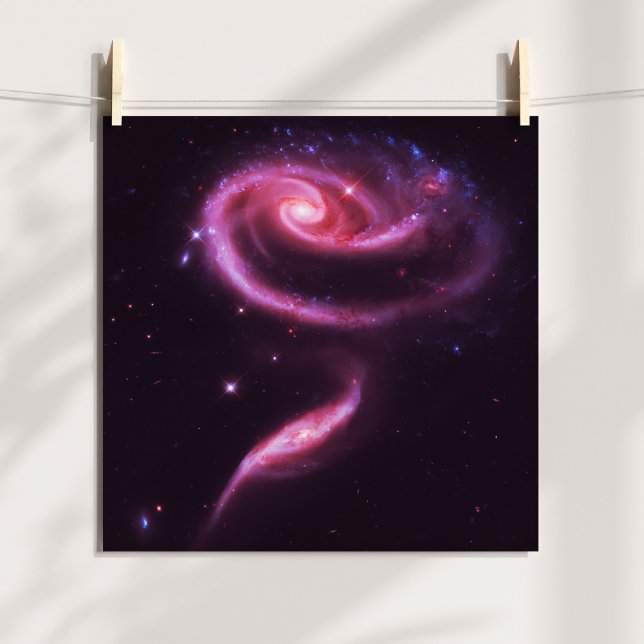 Affiches Galaxies Rose Pâle (Pink Rose Galaxies Poster)
