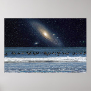 Affiches Galaxy Pelicans