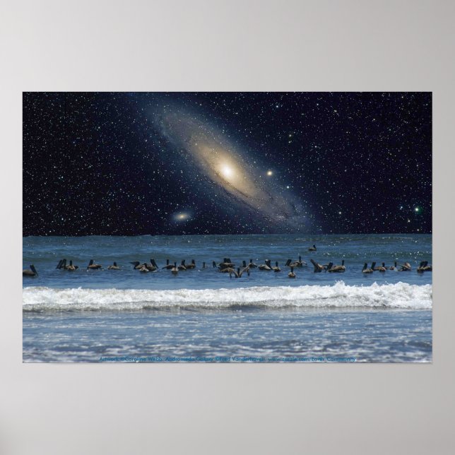 Affiches Galaxy Pelicans (Devant)