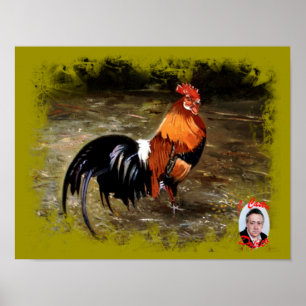 Affiches Gallo/Galo/Rooster