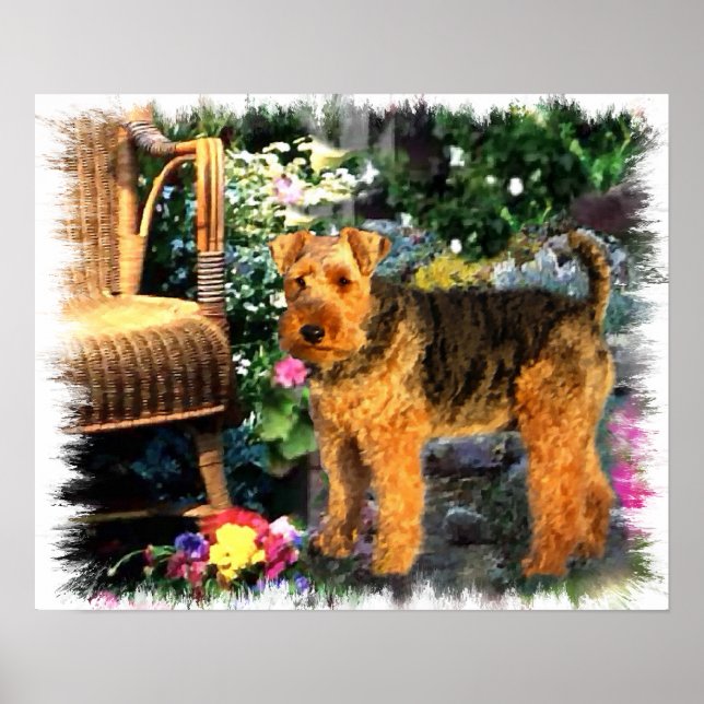 Affiches Gallois Terrier Art Print (Devant)