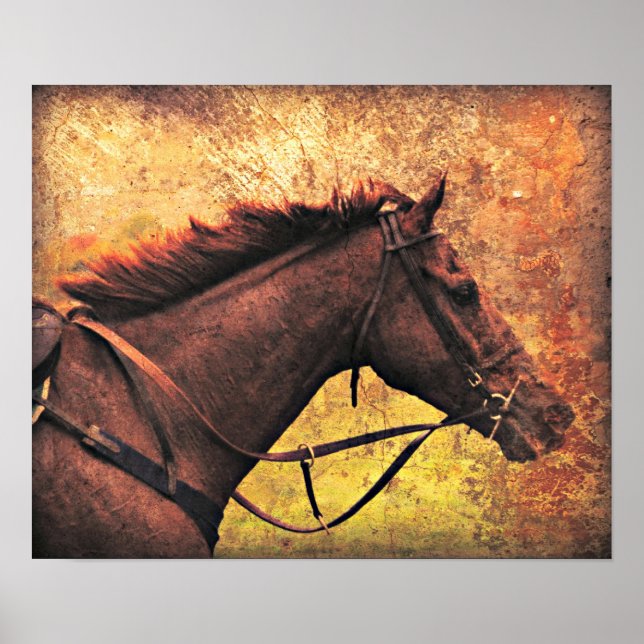 Affiches Gallop Away (Devant)