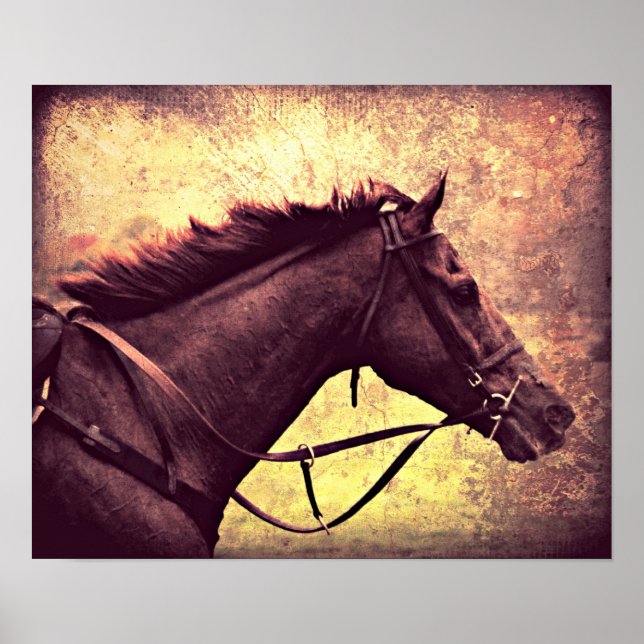 Affiches Gallop Grunge (Devant)