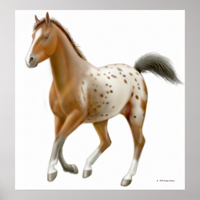 Affiches Galloping Appaloosa Horse Print (Devant)