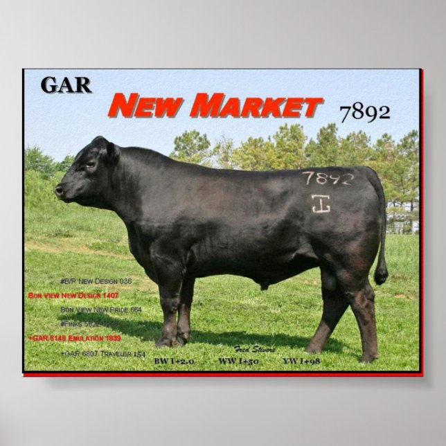 AFFICHES GAR NOUVEAU MARCHÉ (Devant)
