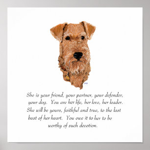 Affiches Garde de Terrier Irlandais - Femelle