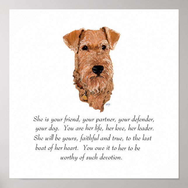 Affiches Garde de Terrier Irlandais - Femelle (Devant)