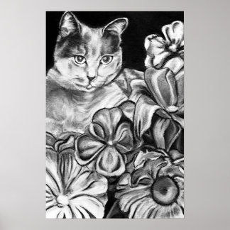 Affiches Garden Cat