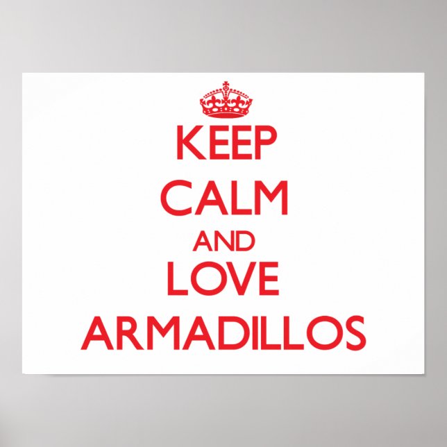 Affiches Gardez calme et amour Armadillos (Devant)