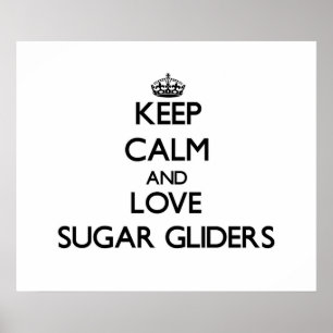 Affiches Gardez le calme et aimez les planeurs de sucre