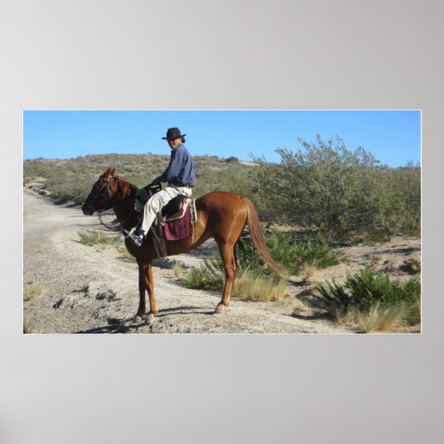 Affiches Gaucho argentin (Devant)
