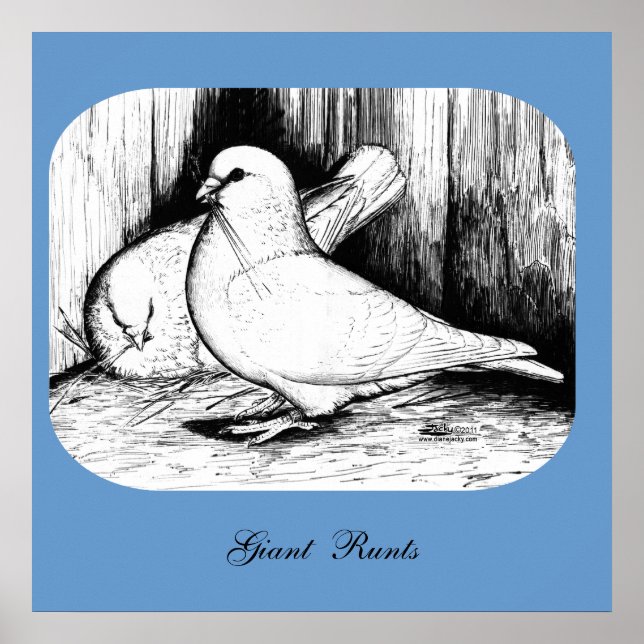 Affiches Géant Runt Pigeons (Devant)