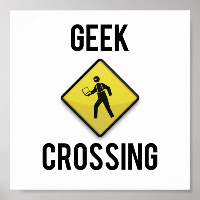 Affiches Geek Crossing (Devant)