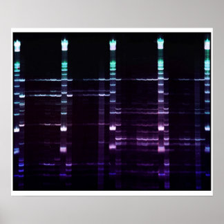 Affiches Gel ACR - 2