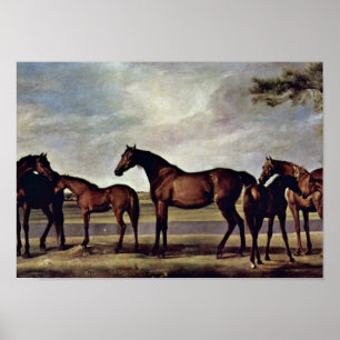 Affiches George Stubbs - juments avant une tempête