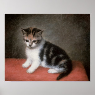 Affiches George Stubbs   Miss Ann White's Kitten, 1790