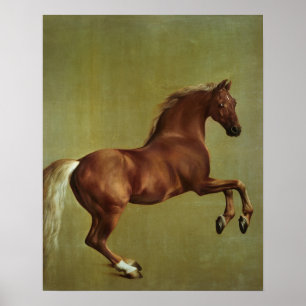 Affiches George Stubbs  Tirage d'identité, 1762