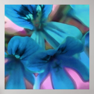 Affiches Geraniums bleus