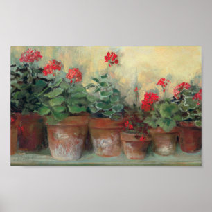 Affiches Geraniums dans les pots
