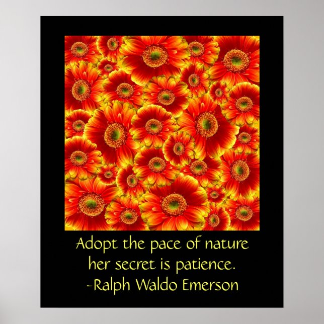 Affiches Gerbera Daisies avec devis (Devant)