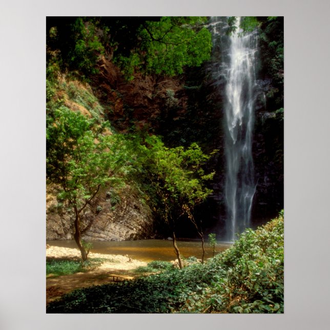 Affiches Ghana : chutes de Wli, également appelées chutes d (Devant)