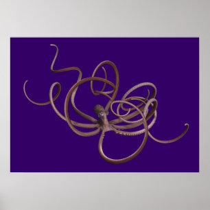 Affiches Giant Kraken