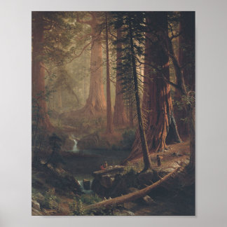 Affiches Giant Redwoods par Albert Bierstadt