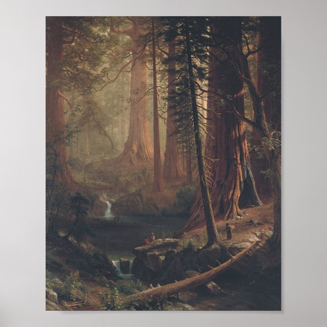 Affiches Giant Redwoods par Albert Bierstadt (Devant)