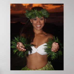 Affiches Gift of Aloha