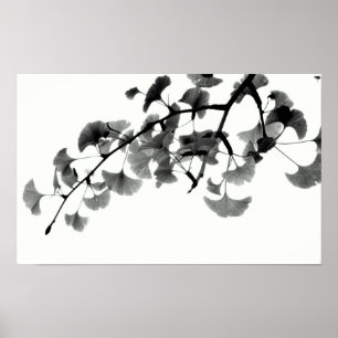 Affiches Gingko Biloba Feuillage en noir et blanc