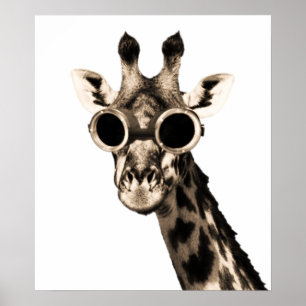 Affiches Girafe avec des lunettes de lunettes de soleil de