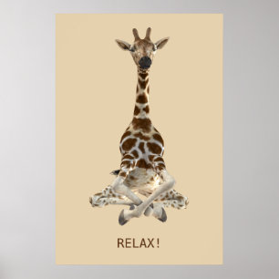 Affiches Girafe méditante