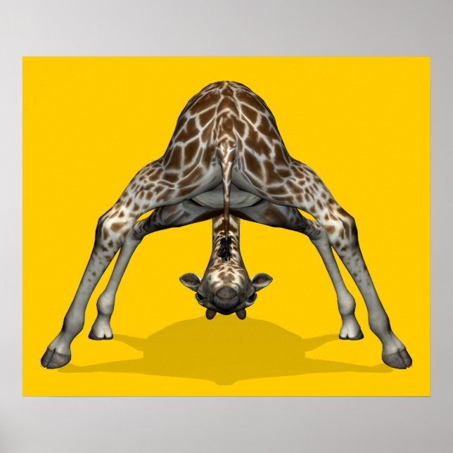 Affiches Giraffe gymnastique (Devant)