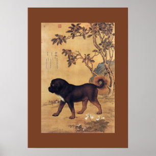 Affiches ~ Giuseppe Castiglione de mastiff tibétain de ~ de