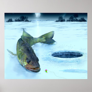 Affiches Glace de Walleye