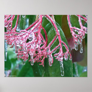 Affiches "Glace rose" sur l'affiche de la tempête d'hiver