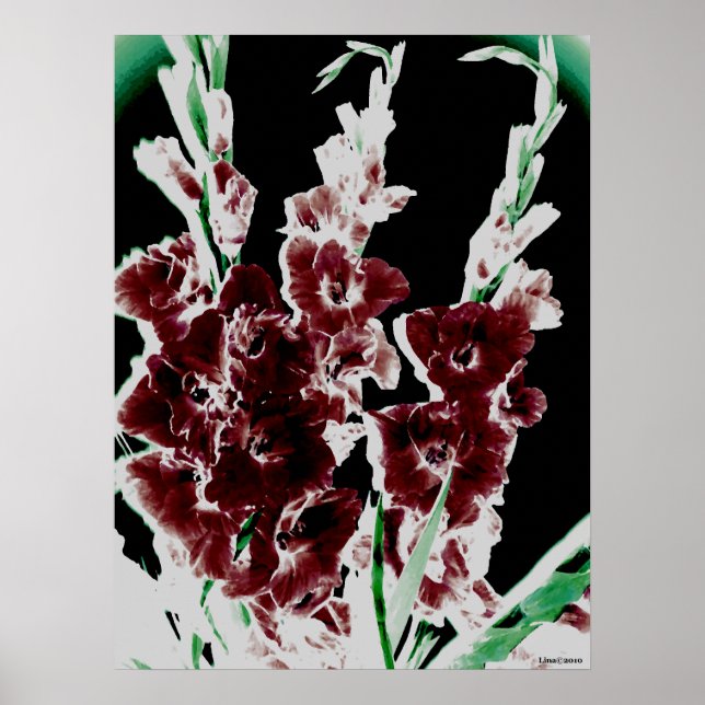 Affiches Gladiolas de Bourgogne par Lina (Devant)